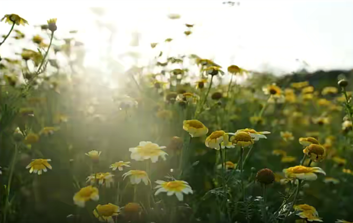 微醺十月摄影班2022年2月结课网盘分享