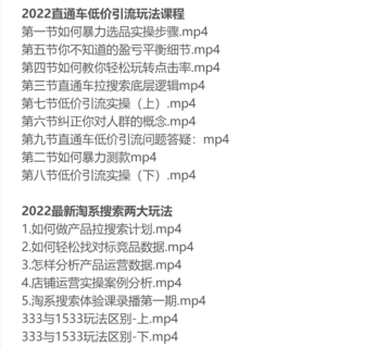 电商掌柜杨茂隆网盘分享