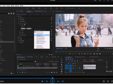 京京PR剪辑调色大师