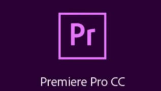 陈京京PR剪辑调色班【画质高清有素材】