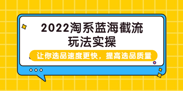 2022淘系蓝海截流玩法实操网盘分享