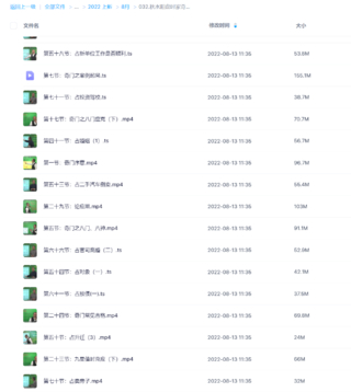 秋水阳盘时家奇门遁甲课程71集