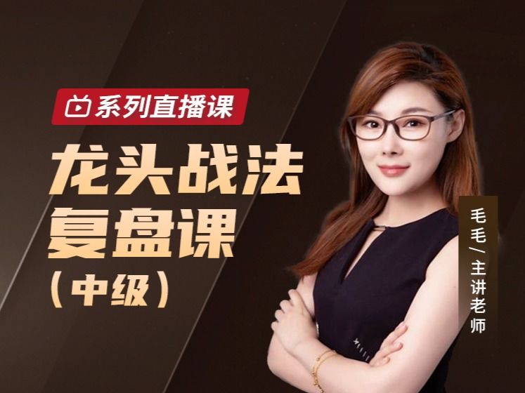 毛毛老师龙头战法复盘课（中级）网盘分享