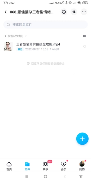 顾佳猫总王者型情绪价值操盘攻略网盘分享