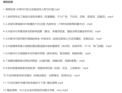 (窦异-抖音seo搜索排名优化)短视频SEO搜索排名优化实战课程+企业号商家号搭建运营实操