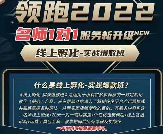牛气学堂老陶电商【第9期】，拼多多名师线上领跑28天孵化爆款班