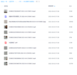 凤麟宗天医密相网盘分享