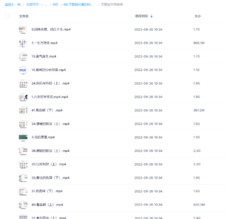 文曾超厉害四柱八字实操+高级
