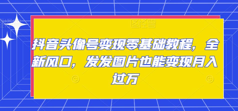抖音头像号变现零基础教程，全新风口网盘分享