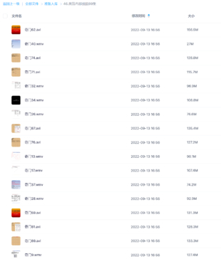 黄笛内部视频89集网盘分享