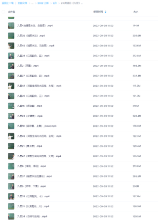 周锦伦《九星》风水91破解版无限次无限减大象盘分享