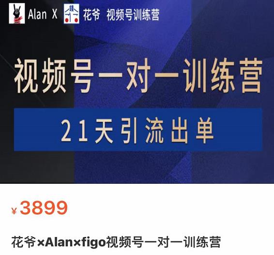 花爷×Alan×figo视频号一对一训练营,21天引流出单3899元网盘分享