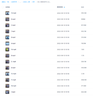 谷晟阳秘传古法择日网盘分享