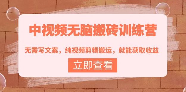 中视频无脑搬砖训练营网盘分享