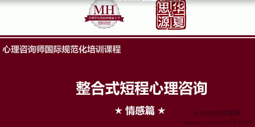 张道龙 心理咨询师国际规范化培训84个真实个案视频与解析网盘分享