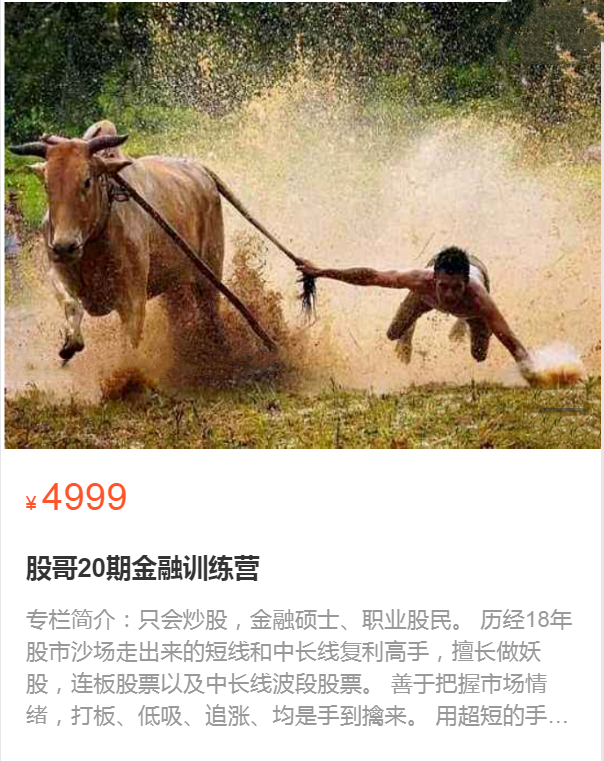 股哥训练营 只会炒股第20期网盘分享