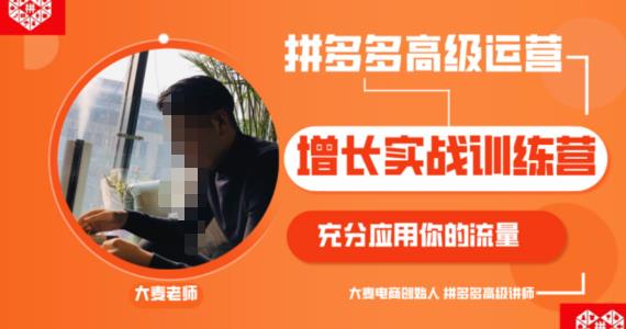 拼多多高级运营增长实战训练营，充分应用你的流量网盘分享