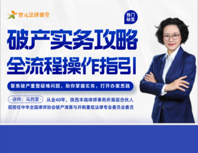 【法律上新】【智元】 《546 马西蒙：破产实务攻略——全流程操作指引》