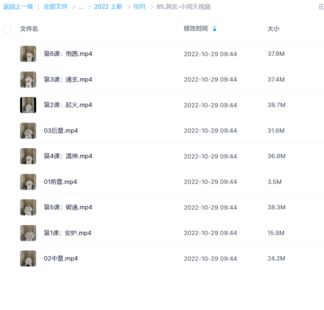 洞玄-小周天视频