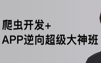 路飞-爬虫开发+APP逆向超级大神班1-3班价值4999元2022年网盘分享
