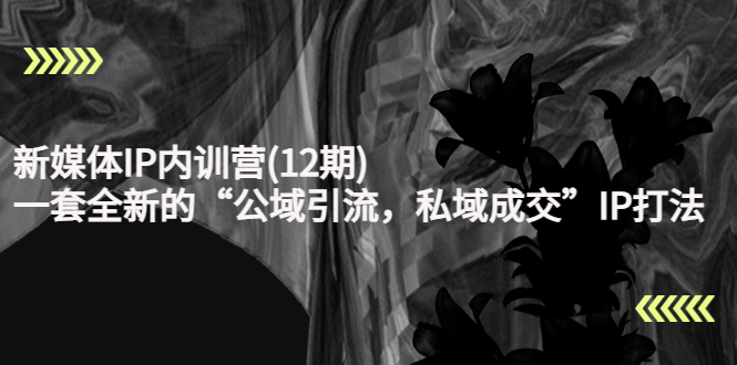 新媒体IP内训营(12期)网盘分享