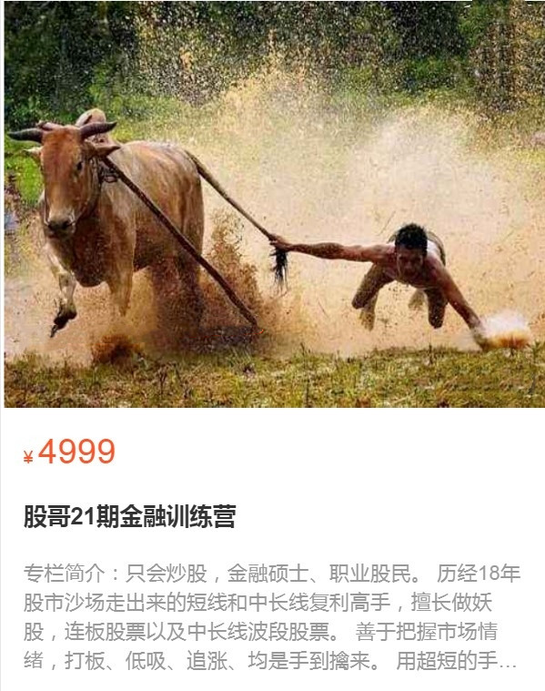 股哥训练营 只会炒股第21期 2022网盘分享