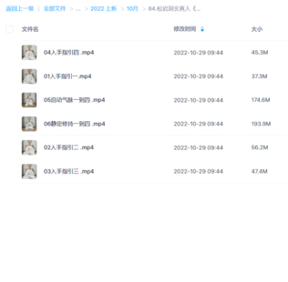 松岩洞玄真人《六合归元内炼》视频