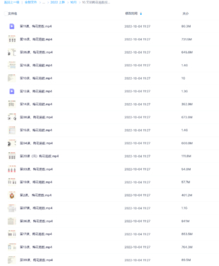 文玥梅花易数视频课程20集