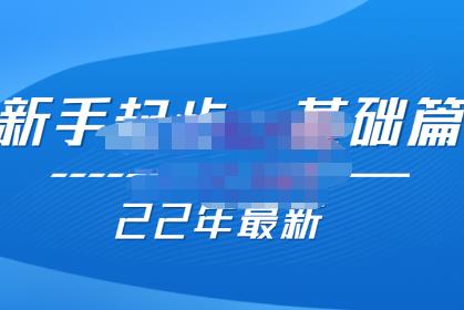 纪主任 基础起步拼多多运营知识一手掌握，价值499元网盘分享