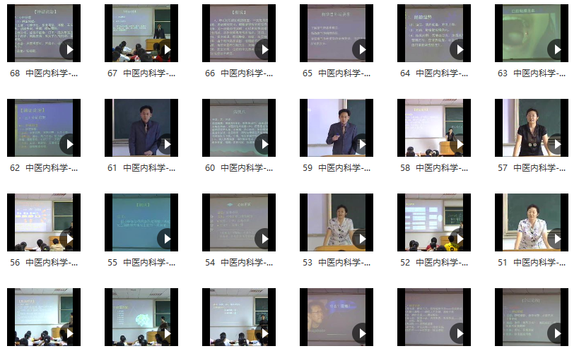 中医内科学：肖长虹-南方医科大学（全68讲）网盘分享