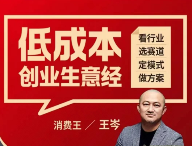 王岑:低成本创业生意经网盘分享