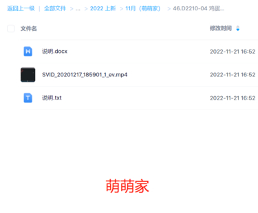 D2210-04 鸡蛋收魂法，十二生肖开光
