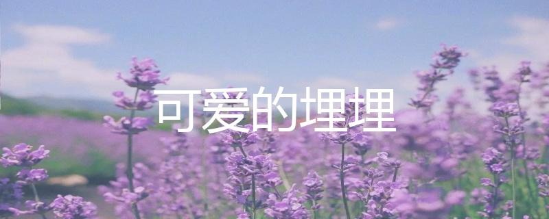 虎牙二次元声控助眠主播可爱的埋埋人气为什么这么高？