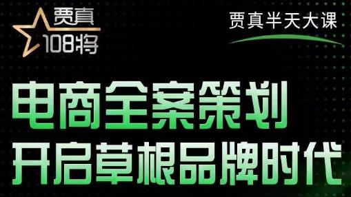 贾真老师的半天大课，电商全案策划，开启草根品牌时代网盘分享