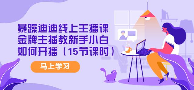 暴躁迪迪线上主播课，金牌主播教新手小白如何开播网盘分享