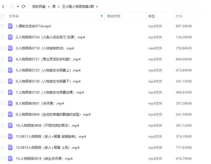 王小翘2022人物团练第2期ipad插画课【画质高清只有视频】