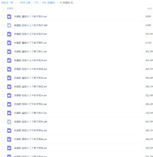 肖富阳-皇极十三千弟子班视频教程19集