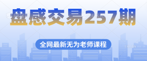 盘感交易257期无为最新课程百度网盘插图