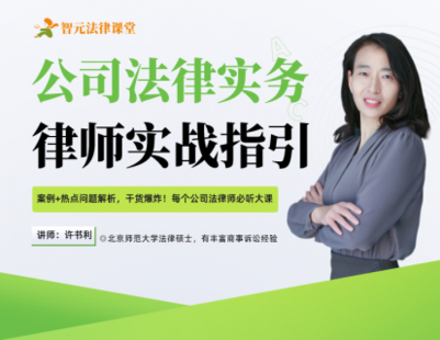 【法律上新】【智元】 《533 许书利公司法律实务：律师实战指引》