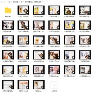 艺琳2022零基础ipad宠物绘画课【画质高清有笔刷素材】