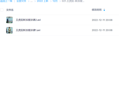 王虎应-新加坡讲课