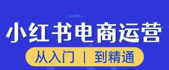 顽石小红书电商高阶运营课程，从入门到精通，玩法流程更新百度网盘