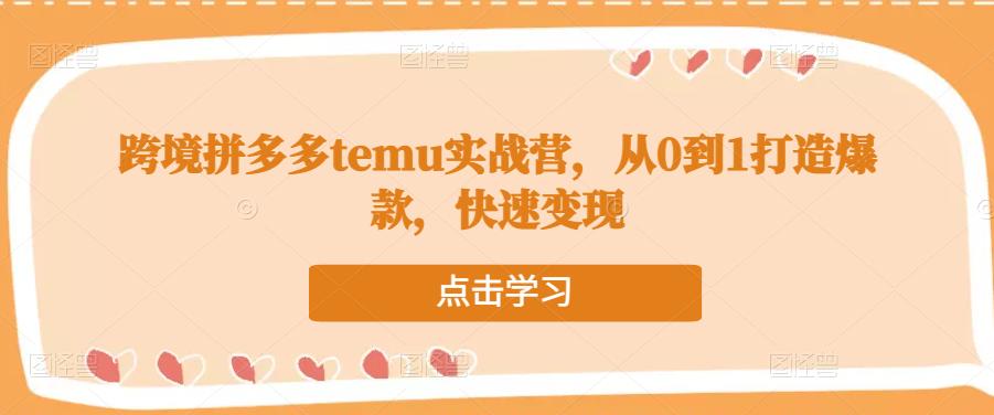 跨境拼多多temu实战营，从0到1打造爆款，快速变现百度网盘