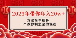 韭菜-联盟・2023年带你年入20w+方法简单粗暴，教你如何正确割韭菜插图