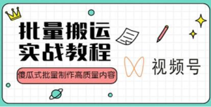 视频号批量搬运实战操作运营赚钱教程，傻瓜式批量制作高质量内容【附视频教程+PPT】插图