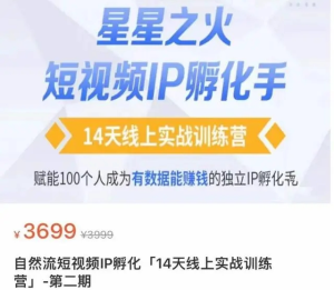 瑶瑶・自然流短视频IP孵化第二期，成为有数据能赚钱的独立IP孵化手百度网盘插图