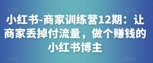 小红书-商家训练营12期：让商家丢掉付流量，做赚钱小红书博主百度网盘插图