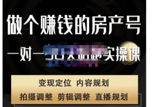刘广标・同城房产号线上陪跑课，拍摄、剪辑、文案、直播，做有价值房产号
