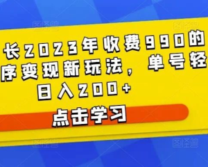 D1G馆长2023年收费990的抖音小程序变现新玩法百度网盘插图