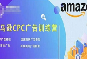 亚马逊CPC广告训练营，夯实广告基础，提升广告技能百度网盘插图